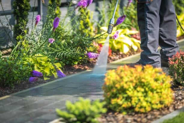 Best Animal Enclosure Cleaning  in Sunnyvale, CA